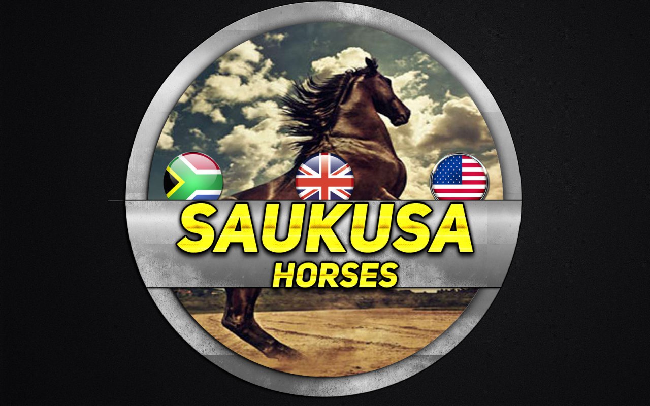 Bienvenidos a Saukusa